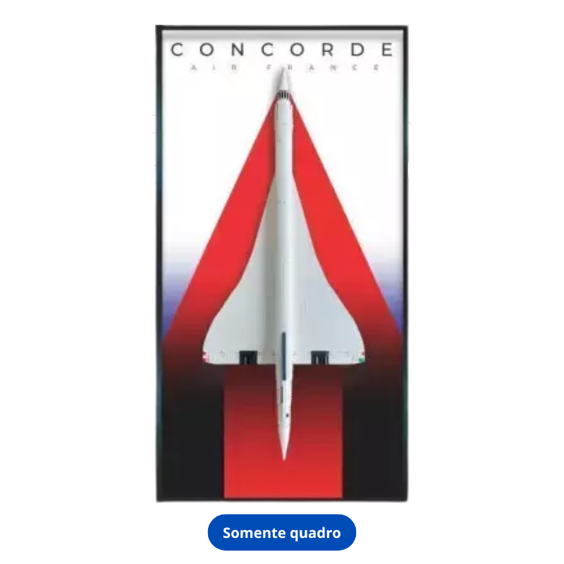 Quadro Concorde 03