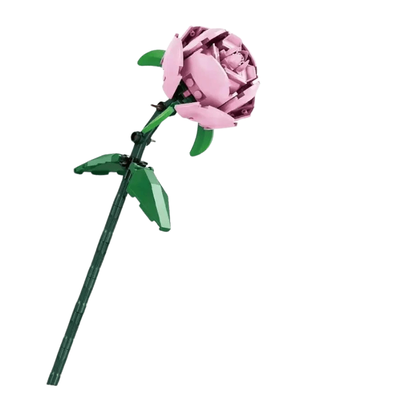 Rosa | 101PCS
